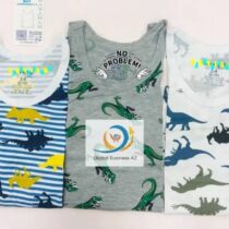 Ce sous-vêtement pour garçon propose une variété de styles, des débardeurs et des boxer. Conçus pour le confort et la durabilité. Fabriqués à partir de matériaux de haute qualité, ces produits sont parfaits pour les enfants actifs.