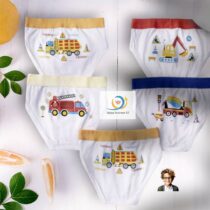 Lot 5 slip pour garçons, 3-12 ans, assorti