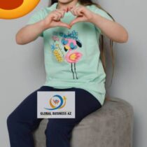 5c11b474-4a1f-4e01-80c0-246f509f247a